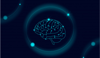 image webinaires neurosciences du Carif